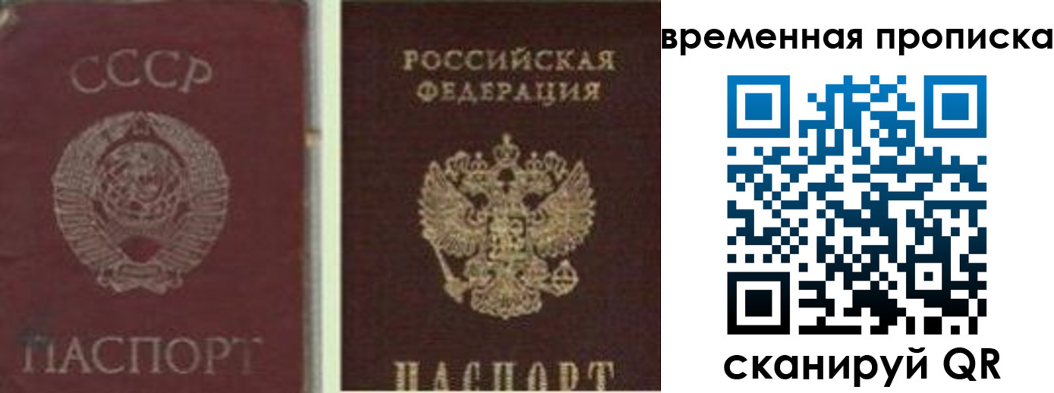 прописка 2025 в Всеволожске
